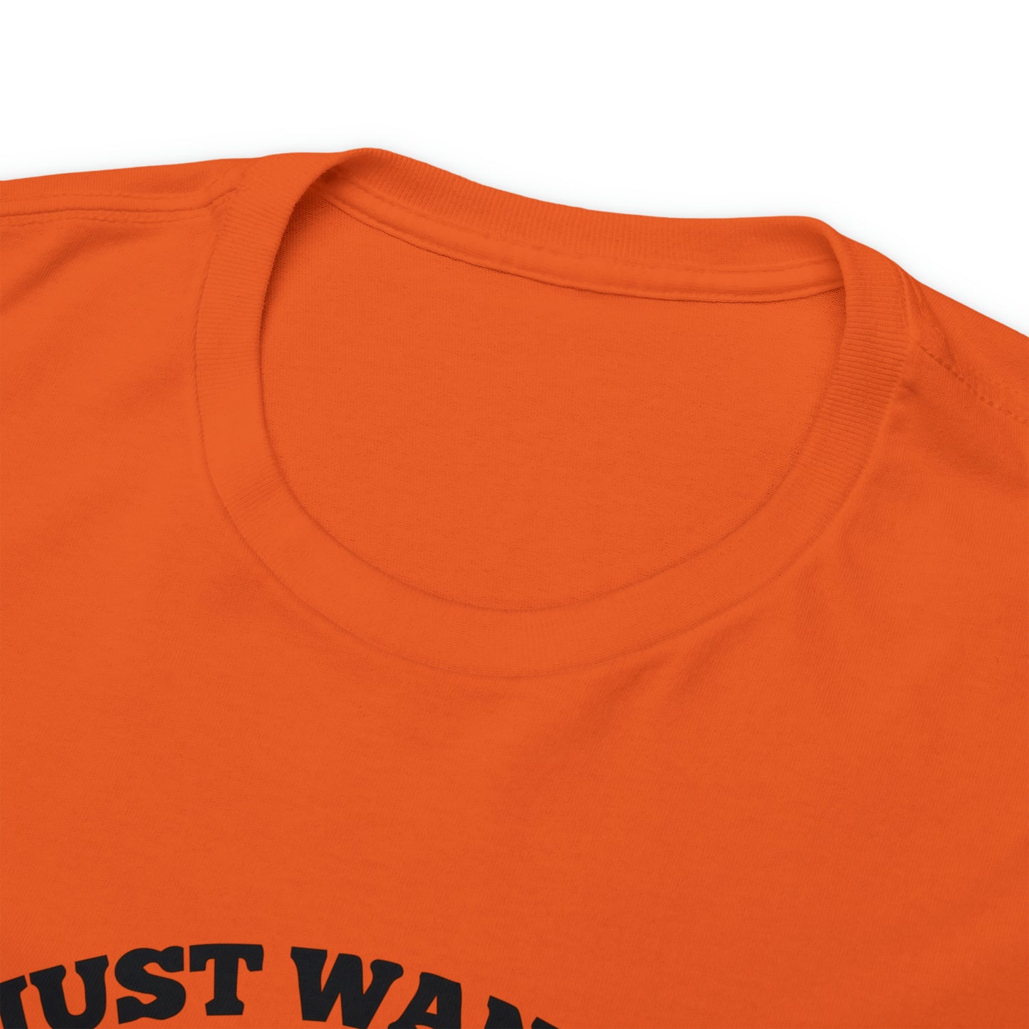 I Just Want To Love Jesus & Go Fishing  Unisex Tee