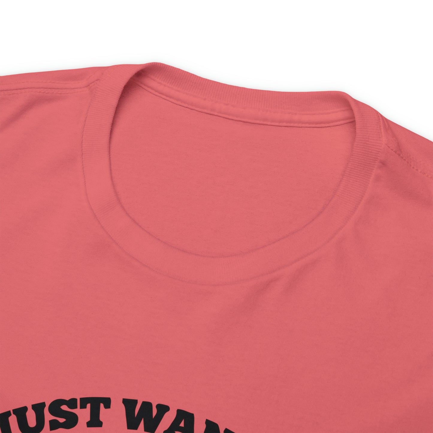 I Just Want To Love Jesus & Go Fishing  Unisex Tee