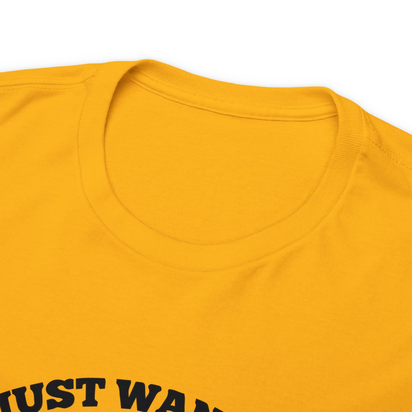 I Just Want To Love Jesus & Go Fishing  Unisex Tee
