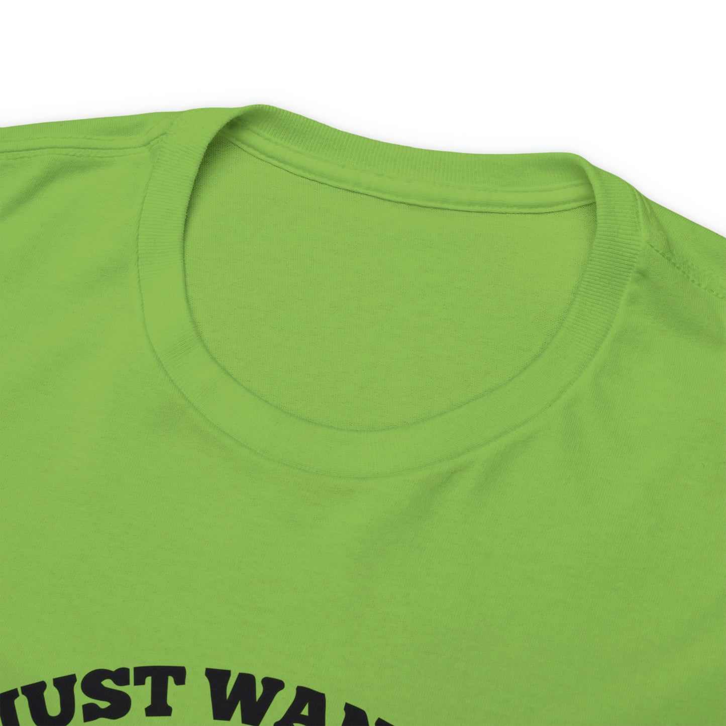 I Just Want To Love Jesus & Go Fishing  Unisex Tee