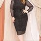 Translucent Silver Rhinestone Plus Midi Dress